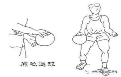 篮球新手基础训练方法_2