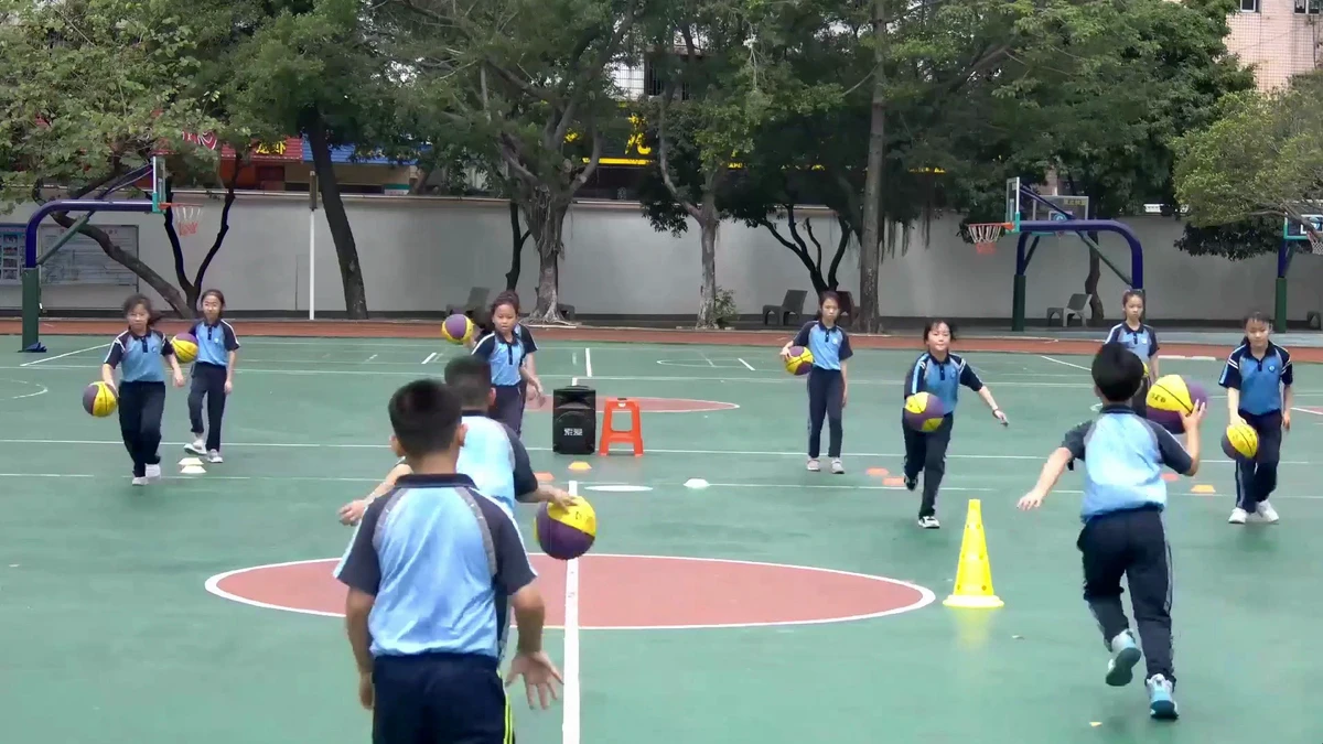 篮球训练视频教学小学生版
